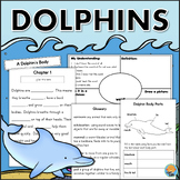DOLPHINS Nonfiction Comprehension Independent Reading Enri