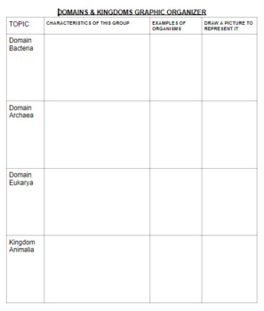 Preview of DOMAINS AND KINGDOMS GRAPHIC ORGANIZER