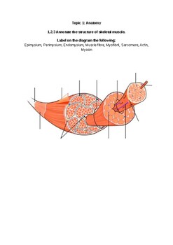 Preview of DP SEHS TOPIC 1; 1.2.3 - 1.2.4 workbook