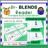 DR- Blend Readers Levels B and D (Printable Books and eBooks)