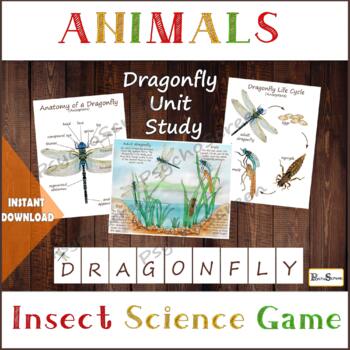 Preview of DRAGONFLY Unit Study • MEGA Printable dragonflies set • anatomy, life cycle