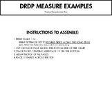 DRDP Measure Example Flipbook (Preschool Comprehensive View)