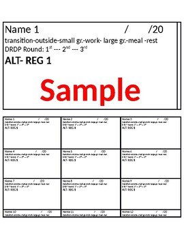 Preview of DRDP Note sheet-  43 measures - 17 names per label sheet