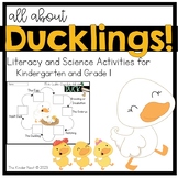 DUCKLINGS {Hatching and Raising Ducklings in the Classroom}