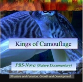 DVD Kings of Camouflage Think Sheet: Natural Selection