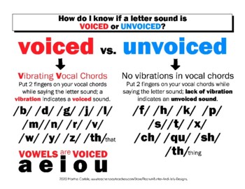 Preview of DYSLEXIA RESOURCES: VOICED and UNVOICED letter sounds Mini Poster, WORD