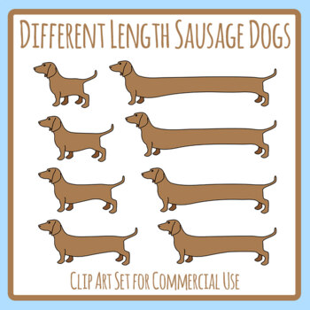 why are sausage dogs long