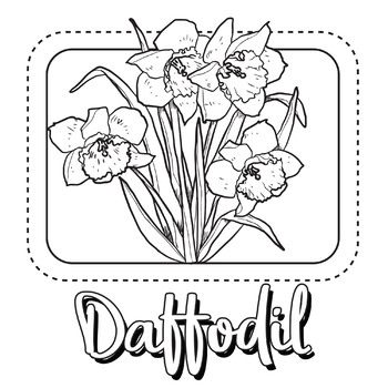 Daffodil Flower Coloring Page/Book by SCWorkspace | TPT