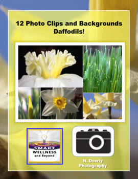 Preview of Daffodil Photo Clip Art and Backgrounds