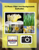 Daffodil Photo Clip Art and Backgrounds