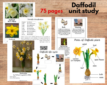 Preview of Daffodil unit study, Narcissus anatomy, life cycle, Art, Music, Poetry study