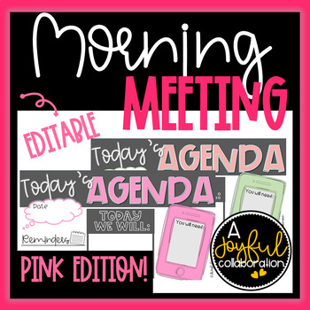 Preview of Daily Agenda Editable School Color Slides in Pink