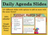 Daily Agenda Google Slides - "Animal / Safari" Editable Template