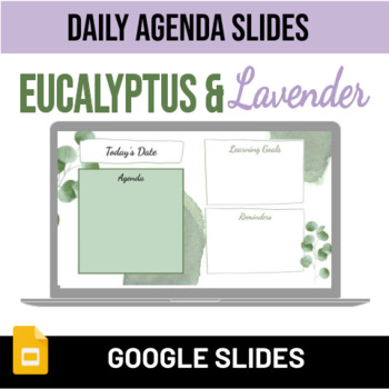 Preview of Daily Agenda Slides | Lavender & Eucalyptus 