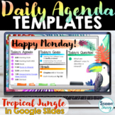 Daily Agenda Template | Daily Schedule Google Slides TROPI