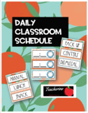 Daily Classroom Schedule Cards {"Squeeze" the Day Orange Theme}