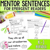 Daily Grammar Mentor Sentence Units Bundle (Grades K-1): 4