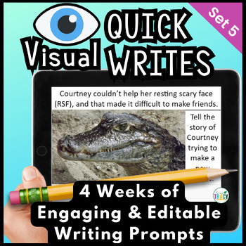 Preview of Daily Quick Writes - Visual and Engaging Writing Prompts | Set 5