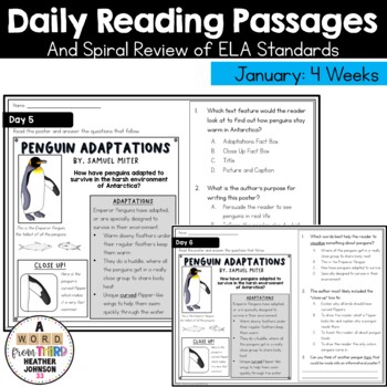 Preview of Daily Reading Practice and A Spiral Review ELA Standards | January