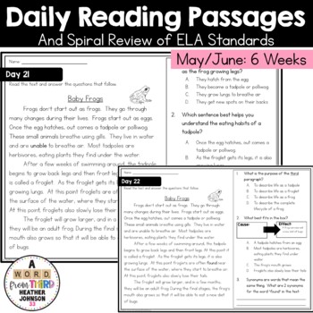 Preview of Daily Reading Practice and A Spiral Review ELA Standards | May/June