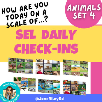 Preview of Daily SEL Check-ins: MORE Animals! Social Emotional How are you feeling? Set 4