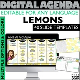 Daily Schedule Template Editable Lemons