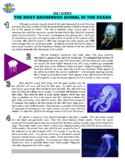 Daily Science #143 : Box Jellyfish FAQ (Marine Biology / O