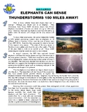 Daily Science 15 : Elephants and Thunderstorms (weather ar