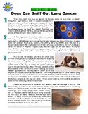 Daily Science #48 : Dogs Can Sniff Cancer (article / healt