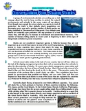 Daily Science #59: Saving Sharks (marine biology article /