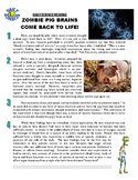 Daily Science #65 : Zombie Pig Brains Return to Life (arti
