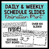 Daily & Weekly Schedule Slides | Dalmatian Print