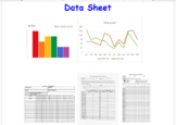 Daily behavior data tracking sheet