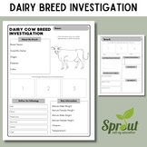Dairy Cattle Breed Investigation Worksheet