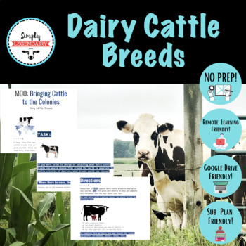Preview of Dairy Cattle Breeds- Animal Science- No-Prep! Remote Learning Friendly!