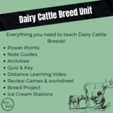 Dairy Cattle Breeds Unit