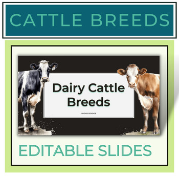 Preview of Dairy Cattle Breeds PowerPoint Notes + Graphic Organizer