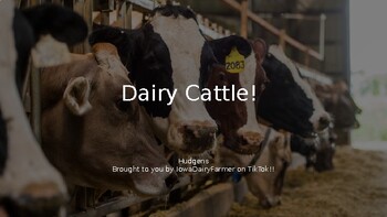Preview of Dairy Cattle Intro NotesSlides