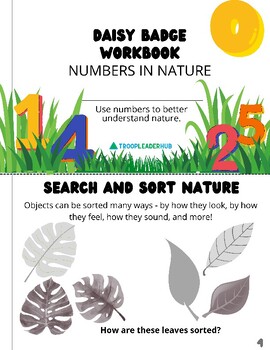Preview of Daisy Girl Scout Badge Booklet - Daisies Numbers in Nature Badge