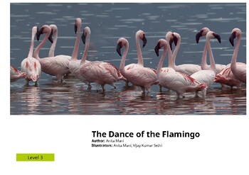 Preview of Dance of the Flamingos – Non-Fiction