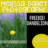 Dandelion Freebie