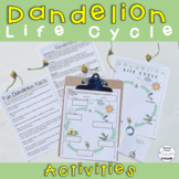 Dandelion Life Cycle Activities