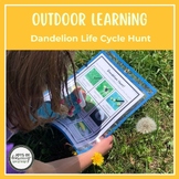 Dandelion Life Cycle Hunt