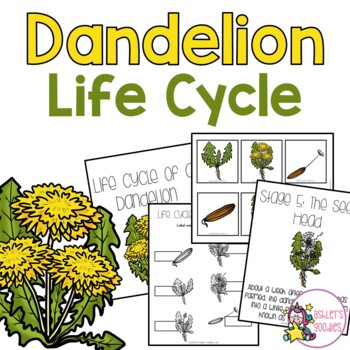 Preview of Dandelion Life Cycle Packet
