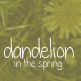 Dandelion in the Spring Font for Commercial Use