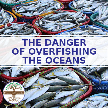Preview of Danger of Overfishing the Oceans - Science Worksheet (Google, PDF, Print)