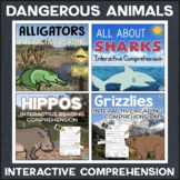 Dangerous Animals Reading Comprehension Booklets Sharks Be