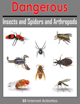 Preview of Dangerous Insects and Spiders and Arthropods - Internet Activity