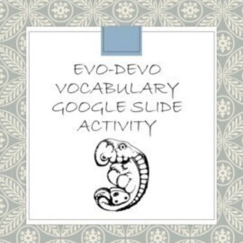 Preview of Evolution Activity Evo-Devo Song Google Classroom Drag N Drop