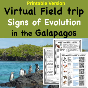 Preview of Darwin and Evolution in the Galapagos Virtual Field Trip Worksheets